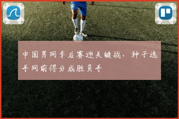 中国男网季后赛迎关键战,种子选手网前得分成胜负手