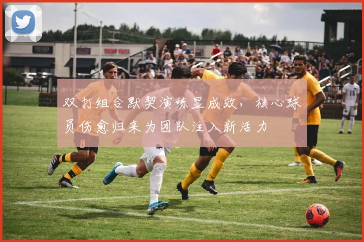 双打组合默契演练显成效,核心球员伤愈归来为团队注入新活力